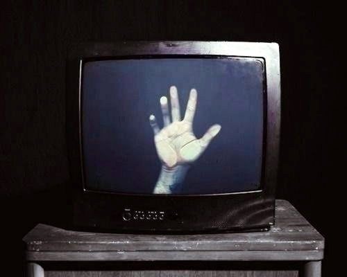 Gnarly Television