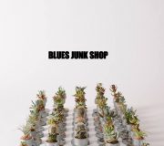 BLUES JUNK SHOP