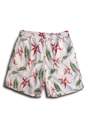 Aloha Easy Shorts
