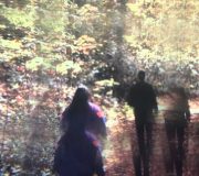 Foxes in Fiction - Ontario Gothic (full album video)